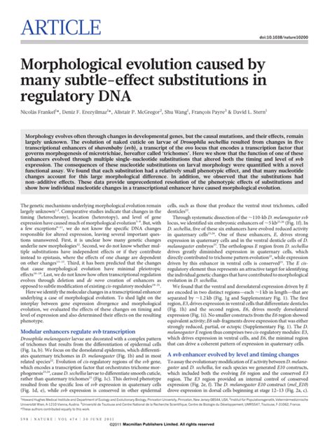 Morphological Evolution Caused By Many Subtle