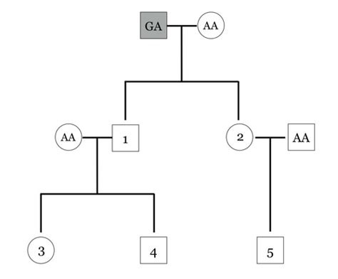 Practice Qs Flashcards Quizlet