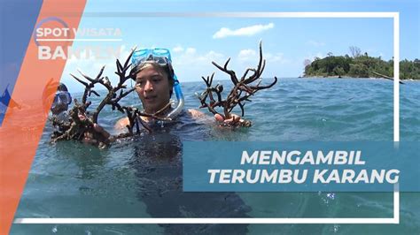 Berburu Terumbu Karang Untuk Menjaga Kelestarian Biota Laut, Banten