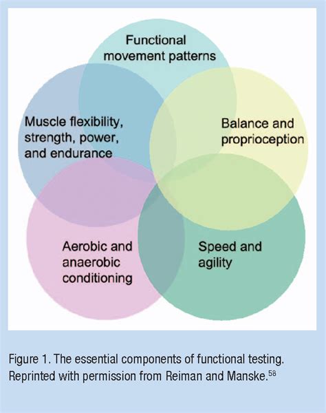 Figure 1 From Functional Performance Testing For Power And Return To Sports Semantic Scholar