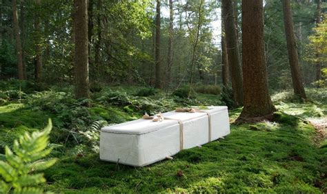 The Living Coffin That Transforms Your Body Into Compost Positive News