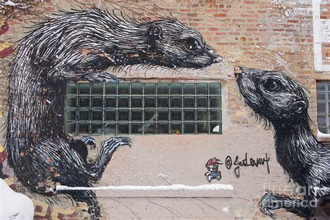 Chicago Street Art Graffiti Rats Photograph By Juli Scalzi Pixels