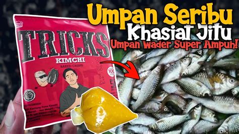 Umpan Wader Paling Ampuh Untung Banyak Kalo Pake Umpan Ini⁉️ Youtube