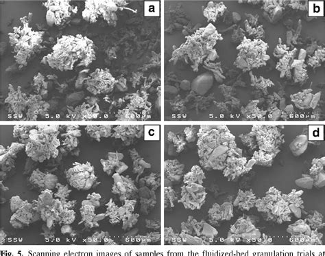 Figure 5 From A Comparison Of Granules Produced By High Shear And