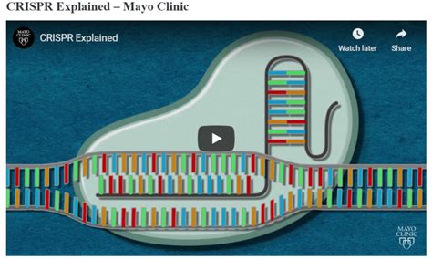 Crispr Explained Clips For Class