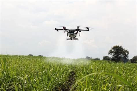 Agricultura Intensiva E Extensiva Diferen As Entre Os Conceitos Agro