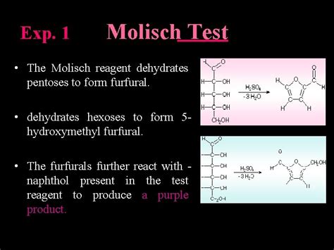 Carbohydrates General Information Carbohydrates Are The Most Abundant