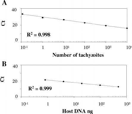 Standard Curves For The Quanti Fi Cation Of The N Caninum Nc5 Sequence