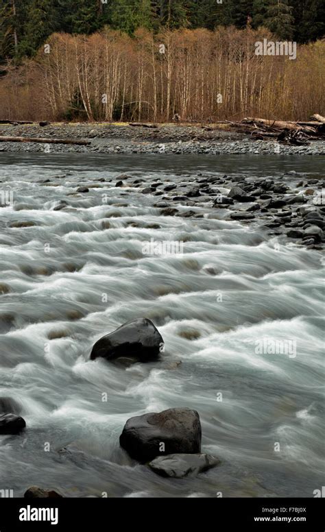 Hoh River At Hoh Rain Forest In Washington Hi Res Stock Photography And