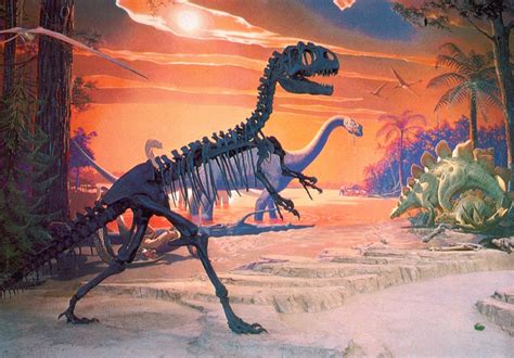 Allosaurus Bones