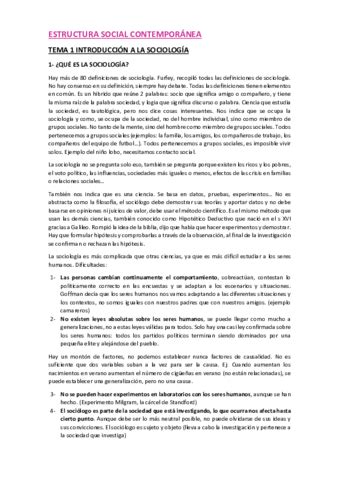 Estructura Social Contemporanea Apuntes Completos Pdf