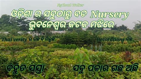 Explore Odisha S Largest Nursery Near Cuttack And Bhubaneswar The