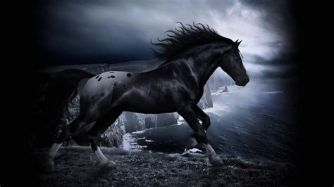 1920x1080 Horse Wallpapers Top Free 1920x1080 Horse Backgrounds