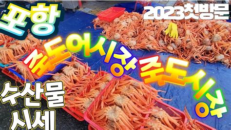 포항 죽도어시장 죽도시장 두 곳의 수산물시세 알아보았습니다 견문록삶1831 Pohang Jukdo fish market