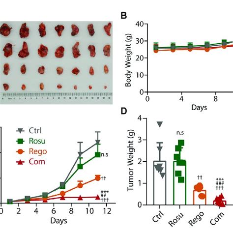 Rosuvastatin Significantly Promoted The Antitumor Effects Of