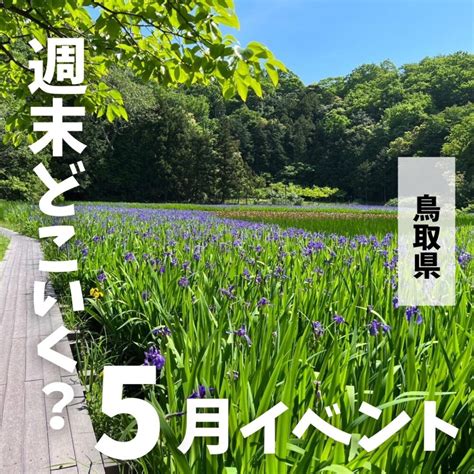 鳥取市の夏の風物詩「第60回 鳥取しゃんしゃん祭」が2024年8月13日火~15日木に開催されます！ とっとりずむ