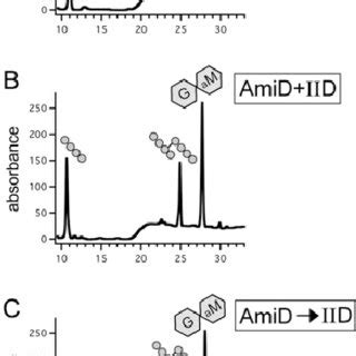 Iid Enhances Iip Activity A Rp Hplc Elution Profiles Of The Soluble