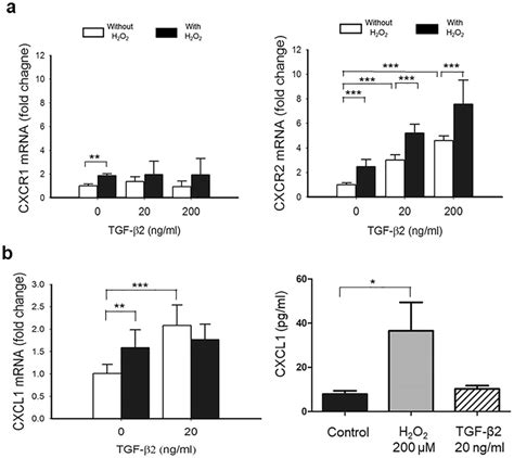 TGF β2 induced C X C Receptor CXCR expression that was enhanced by H