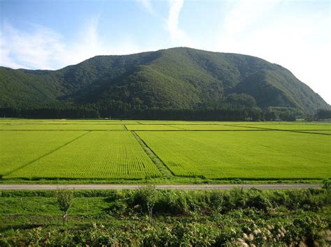 VISITEUSSOON: AGRICULTURE OF JAPAN.