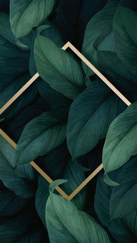 About tumblr in Backgrounds by ♔, plant tumblr HD phone wallpaper | Pxfuel