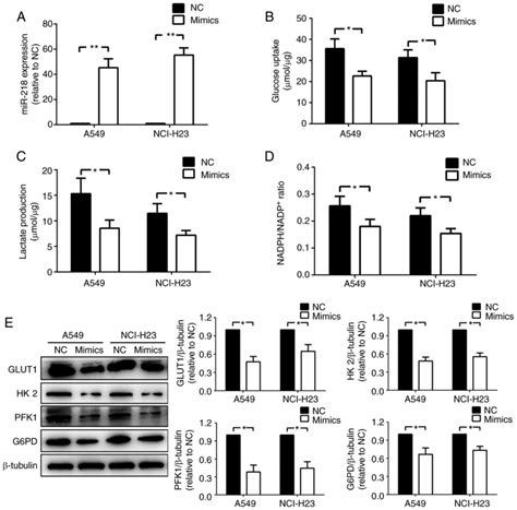 Mir Inhibits Glucose Metabolism In Nonsmall Cell Lung Cancer Via