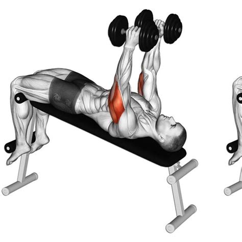 Incline Dumbbell Triceps Extension Exercise Instructions And Video