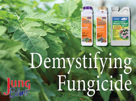 Demystifying Fungicides Jung Seeds Gardening Blog