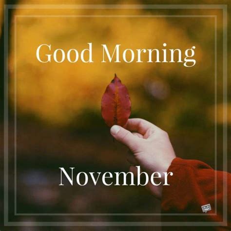 Good Morning, November | Good morning quotes, Good morning ...