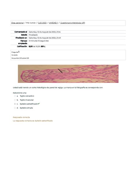 Cuestionario Histología UP1 Revisión del intento Área personal Mis