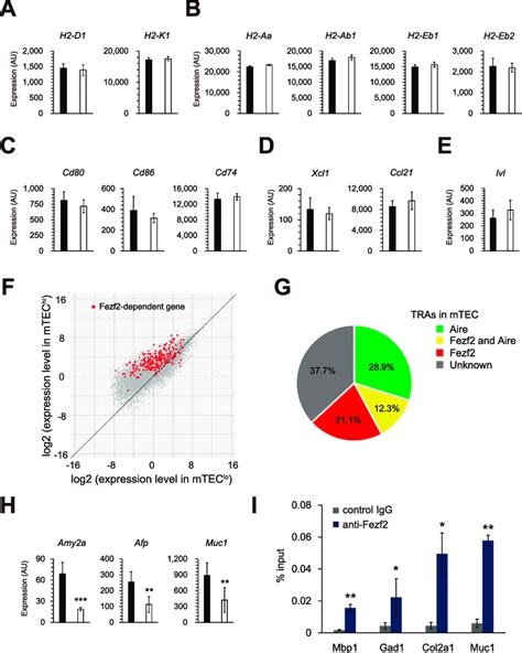 Figure S3 Genome Wide Analysis Of MRNAs Expressed In MTECs Of WT And