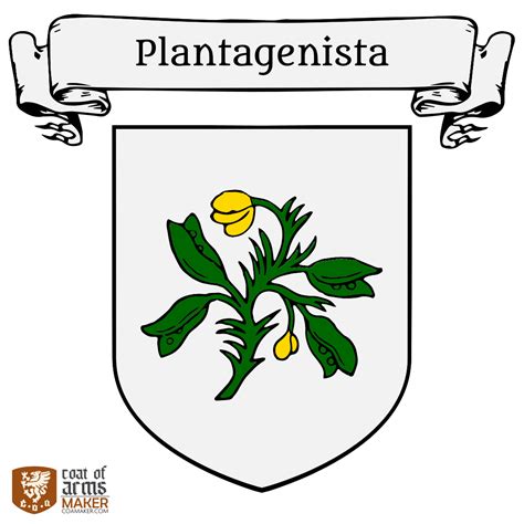 Planta Genista Coamaker