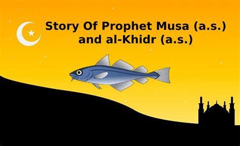 Story Of Prophet Musa And Al Khidr Muhammadi Site