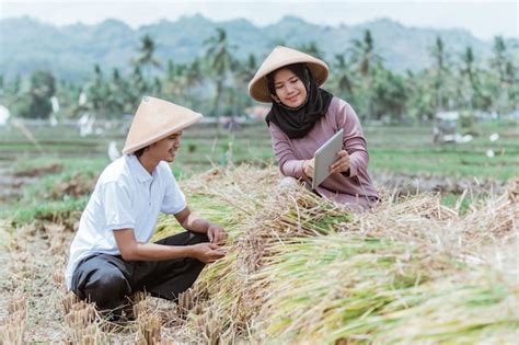 Premium Photo Female Farmers Show Data To Male Farmers Using Tablets