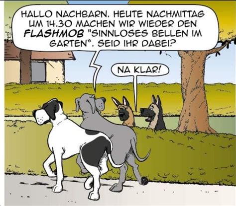 Pin Auf Christine Hund Witze Lustige Cartoons Witze Lustig