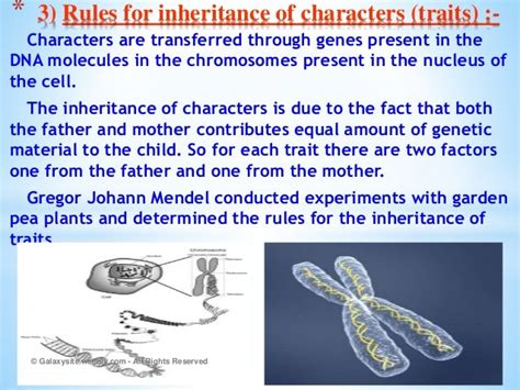 Heredity and evolution