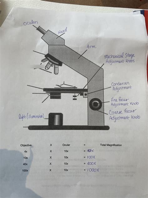 Micro Labs Diagram Quizlet