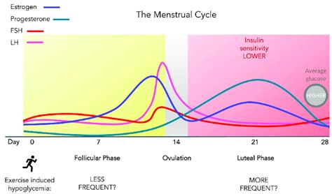 Variable Levels Of Glucose And Or Insulin Sensitivity During The