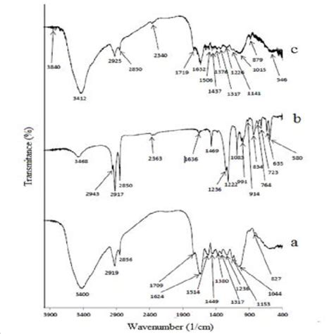 Ftir Spectra Of A Tw B Sctw And C Sctw After Mb Adsorption