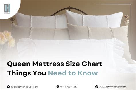 The Ultimate Guide To Size Queen Definition Everything You Need To Know