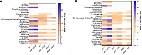 Frontiers Genotypic And Phenotypic Characterization Of Novel Sequence