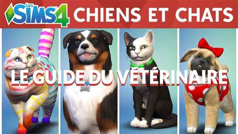 Guide les Sims 4 chiens et chats comment devenir vétérinaire et