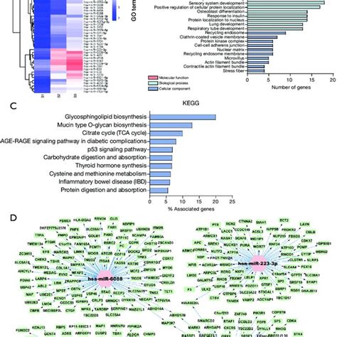 Differential Expression And Function Analysis Of Mirna In Serum A Download Scientific