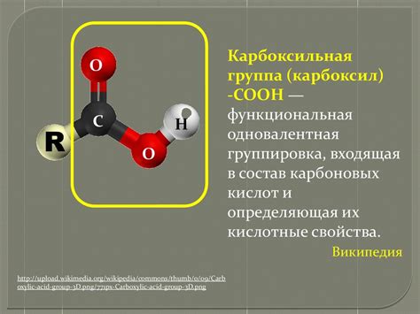 Органические вещества клетки - презентация онлайн