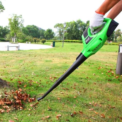 Le MEILLEUR Souffleur De Feuilles Sans Fil 2025 Maisonae