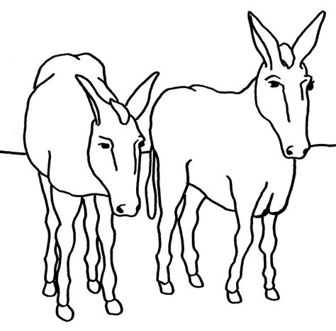 Dibujos De Burros Para Colorear Y Pintar