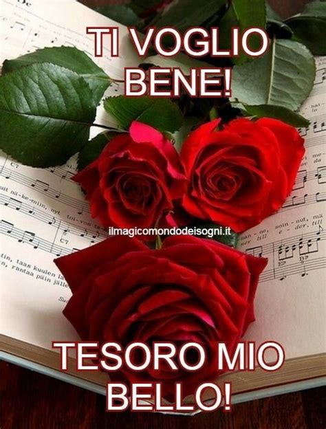 Pin by Mary on AMORE MIO ... ITALIANO G... | Plants, Flowers, Rose