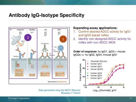 Adcc Reporter Bioassay V And F Variants Novel Bioluminescent Cell