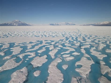 Extreme melt season leads to ecosystem changes in Antarctic polar desert