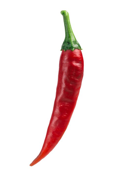 18 Types of Peppers and How to Cook With Them | Stuffed peppers, Types