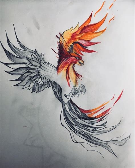 Pin di tattoo master su птицы Tatuaggio fenice Disegno per tatuaggio